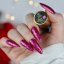 Sada kolekce Boska Nails Glitter Rain Particles