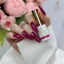Gel lak UV Dreamland no 522 Uva Boska Nails 6 ml