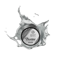 Picassini Metalic Paint Gel Silver Boska Nails 5 ml