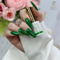 Gel lak UV Dreamland no 525 Bosque Boska Nails 6 ml